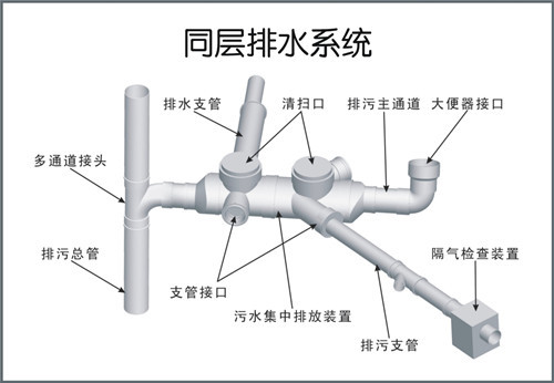 同層排水系統安裝圖6